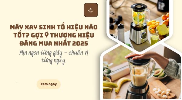 máy xay sinh tố hiệu nào tốt?